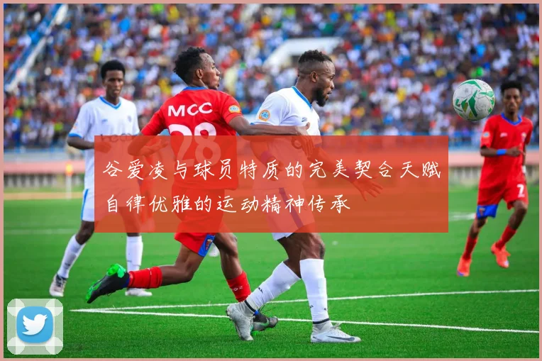 谷爱凌与球员特质的完美契合天赋自律优雅的运动精神传承